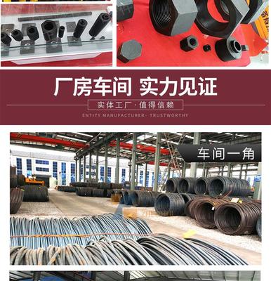 吊籃預埋套筒螺栓U型套筒螺栓L型套筒螺栓廠家直銷現貨供應